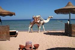 Safaga, Red Sea - Shams Imperial Hotel, Beach.